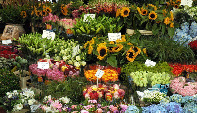 flower-market