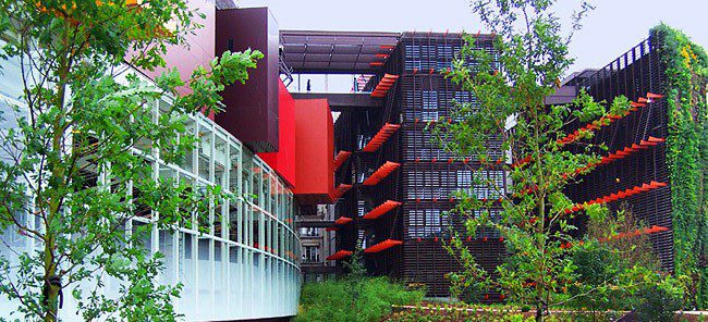 Top 5 things to see and do at the Musee du Quai Branly