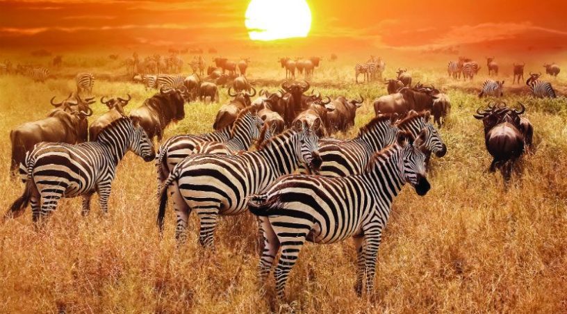 facts about kenya tourism