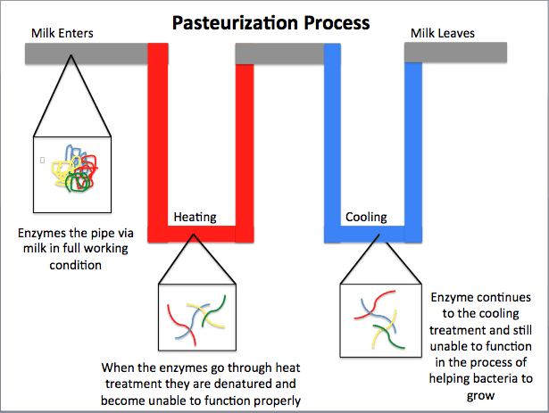 Pasteurisation simple