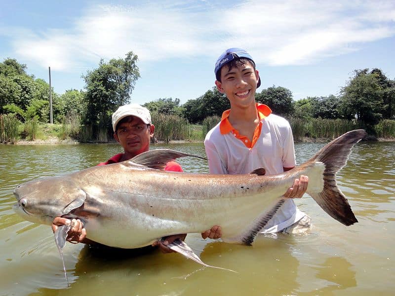 The Top 5 Places for Fishing in and around Bangkok - Discover Walks Blog
