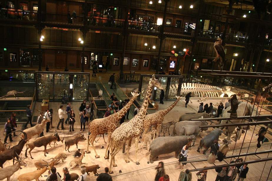 Best Ways to Visit the Natural History Museum in Paris - Discover Walks