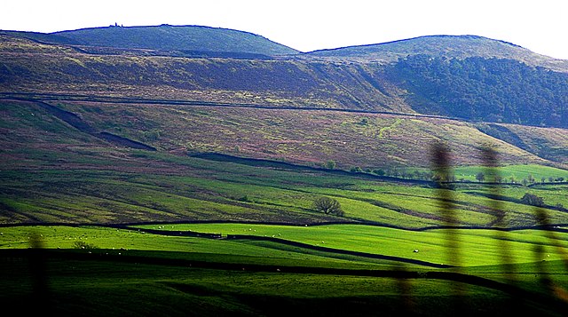Hillside-Yorkshire Dales