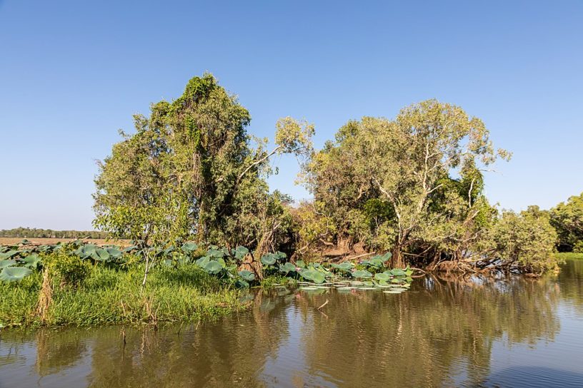 Top 10 Interesting Facts about Kakadu National Park