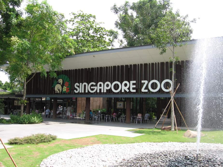 night safari singapore opinie