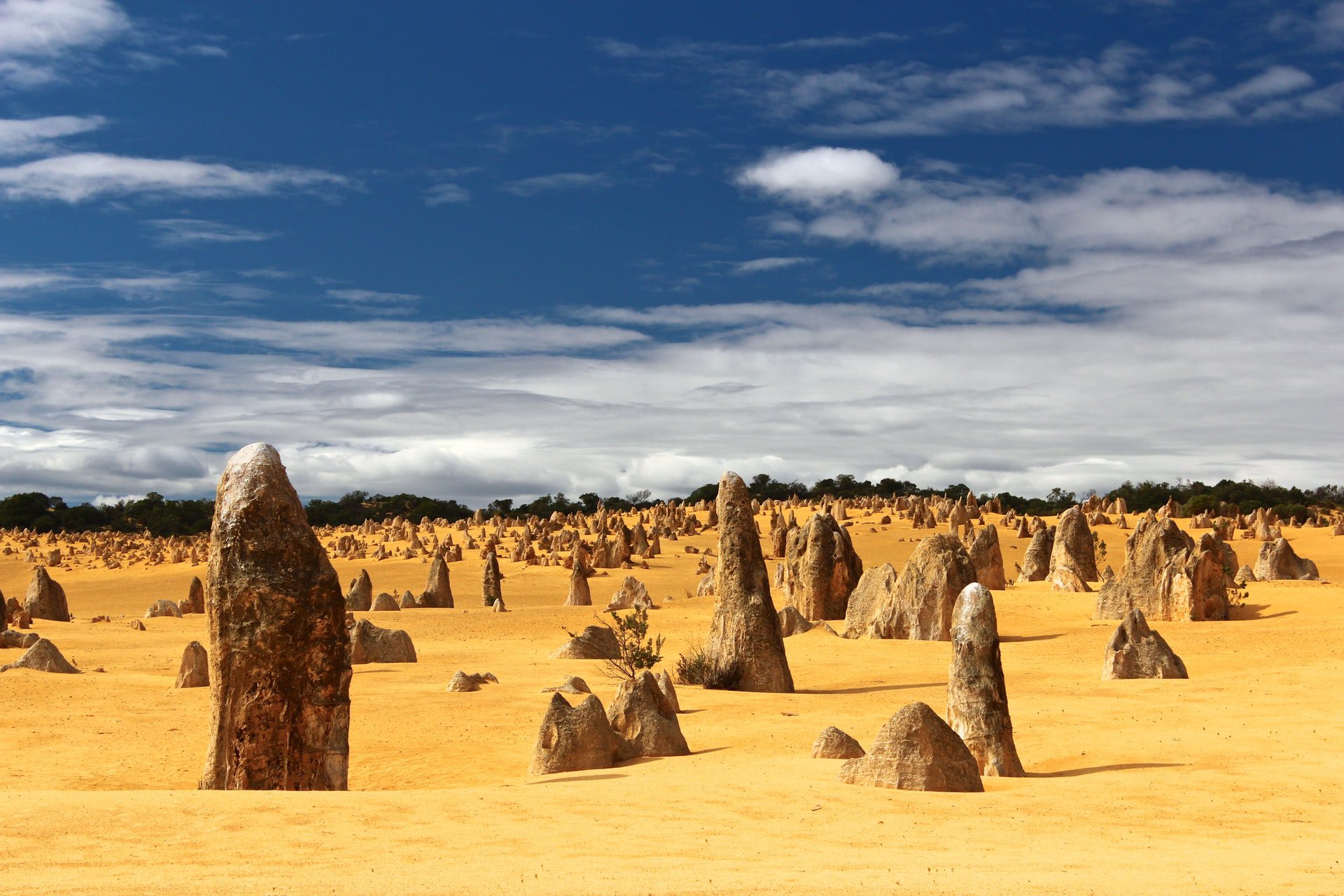 10 Remarkable Facts About The Pinnacles Desert Discover Walks Blog