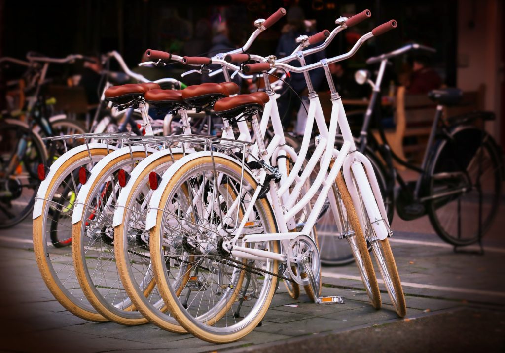 bike trips around amsterdam