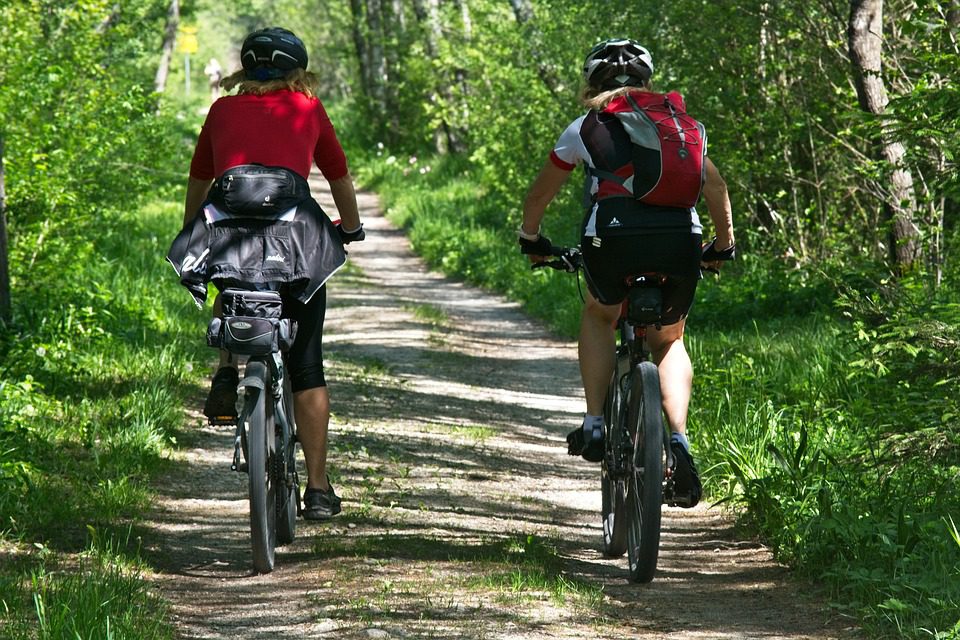 Cyclists on a forest path by Antranias - Pixabay 