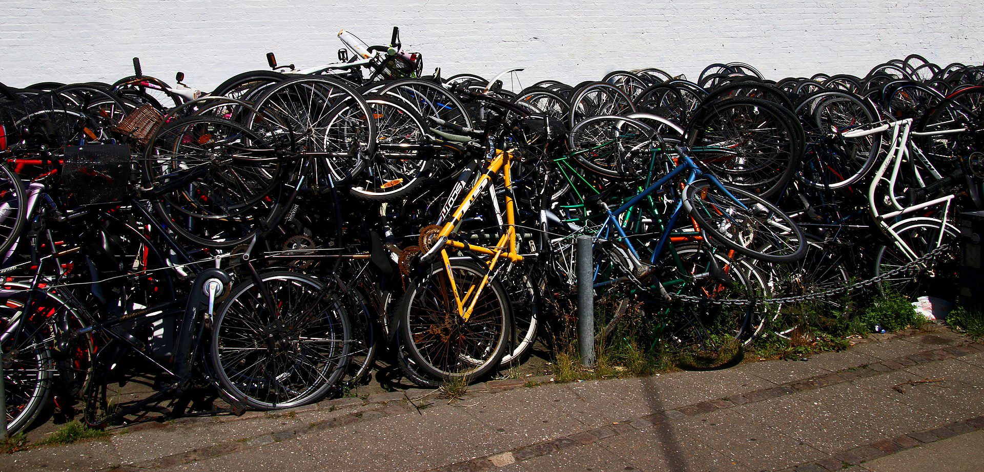 tourist in copenhagen bikes