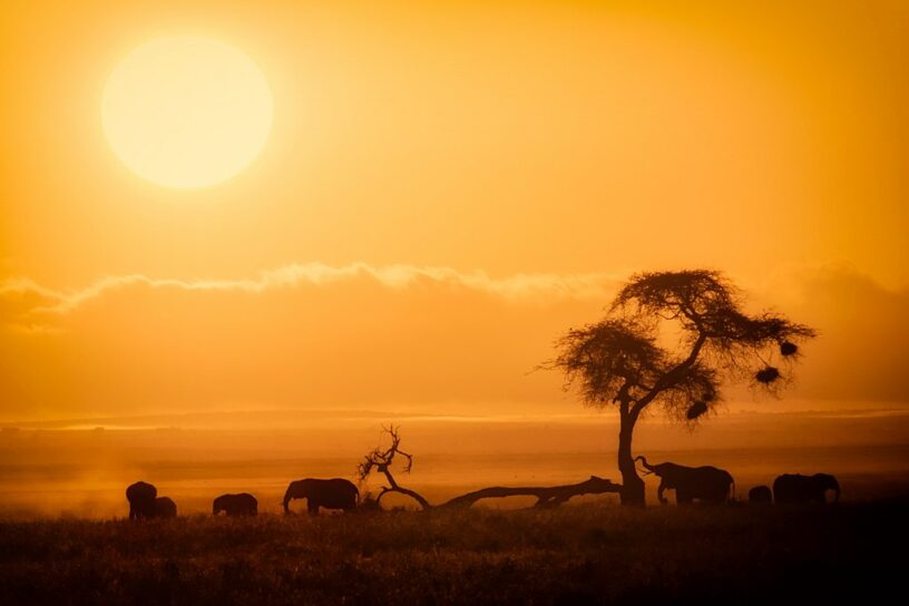 African Sunrise, Amboseli National Park
