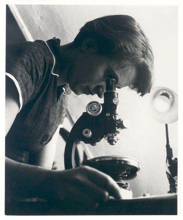A picture of Rosalind Franklin with microscope in 1955.