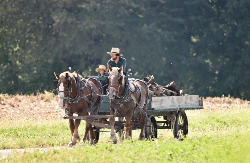 Amish wood wagon