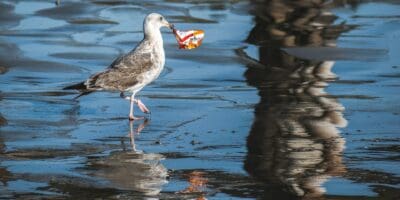 10 Alarming Facts about Plastic Pollution