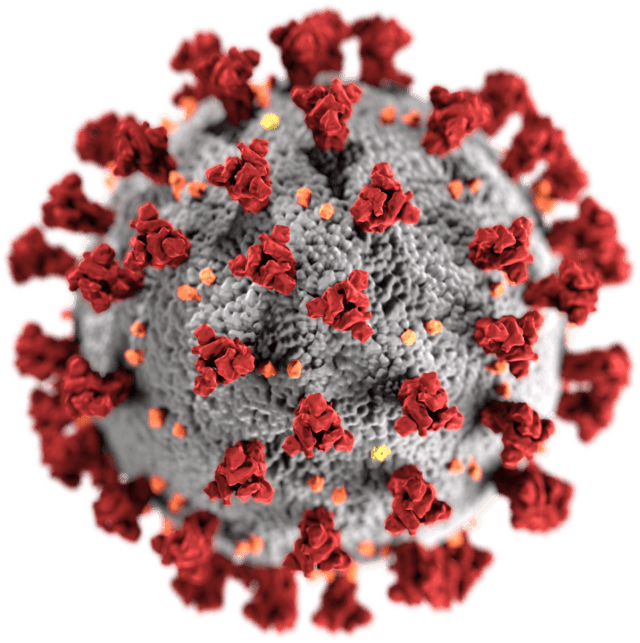 This illustration, created at the Centers for Disease Control and Prevention (CDC), reveals ultrastructural morphology exhibited by coronaviruses