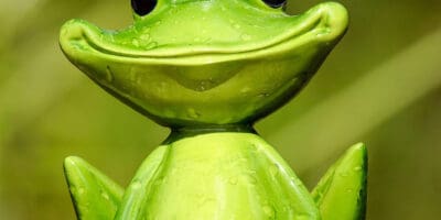 30 Fascinating Facts About Amphibians