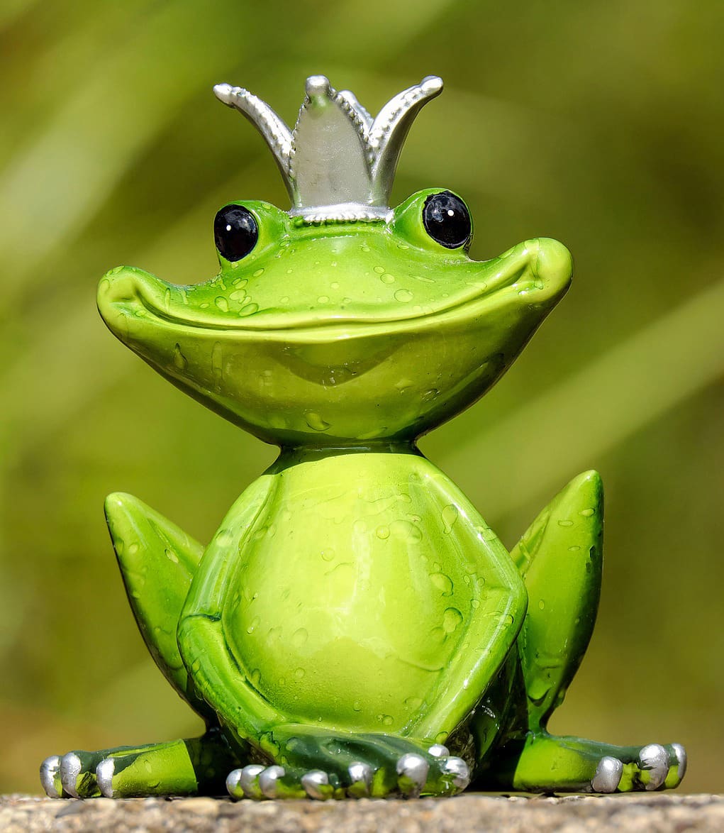 frog_smile.jpg