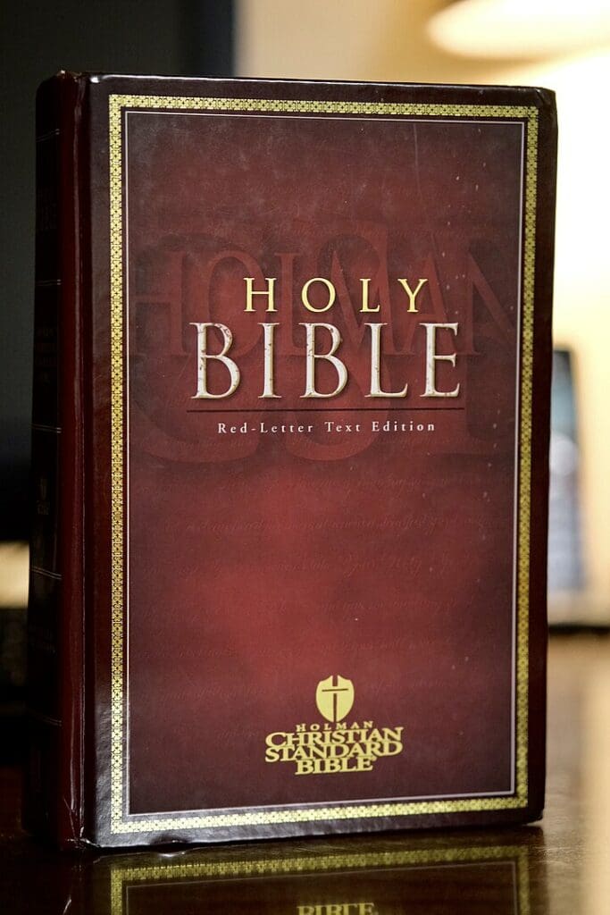 A modern English translation of the Holy Bible.