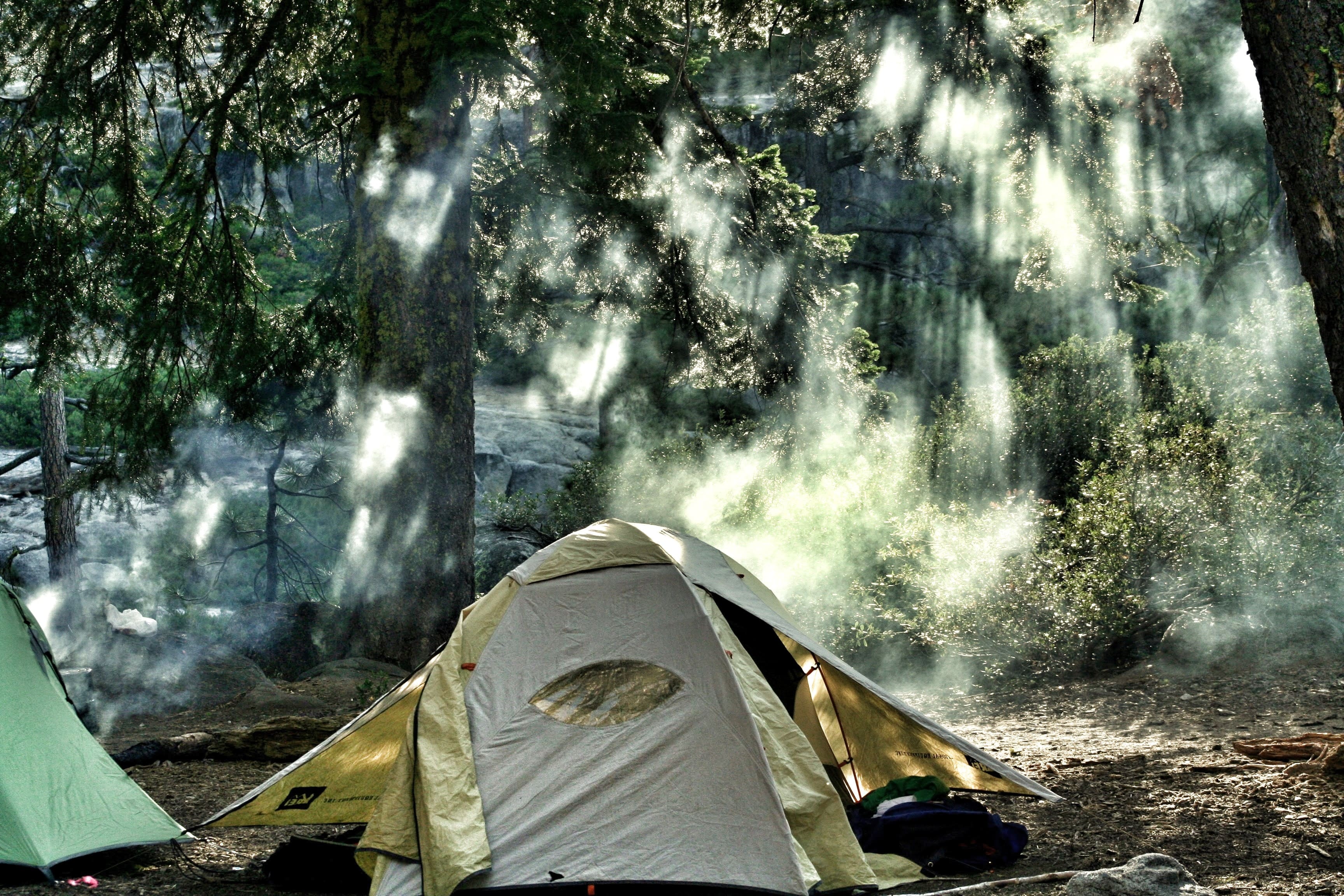 Кемпинг поход. Палатка. Туристическая палатка на природе. Туризм с палатками. Палатка в джунглях.