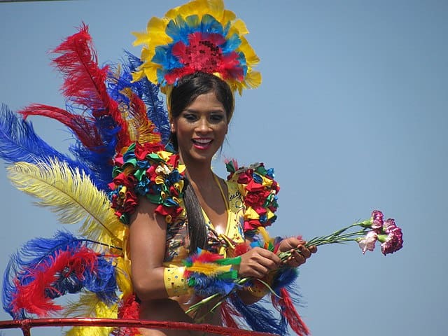 Pin by Virginia on Carnaval  Carnival costumes, Carribean carnival  costumes, Brazilian carnival costumes