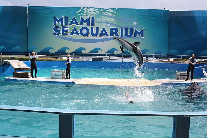 20 Must-See Tourist Attractions in Miami