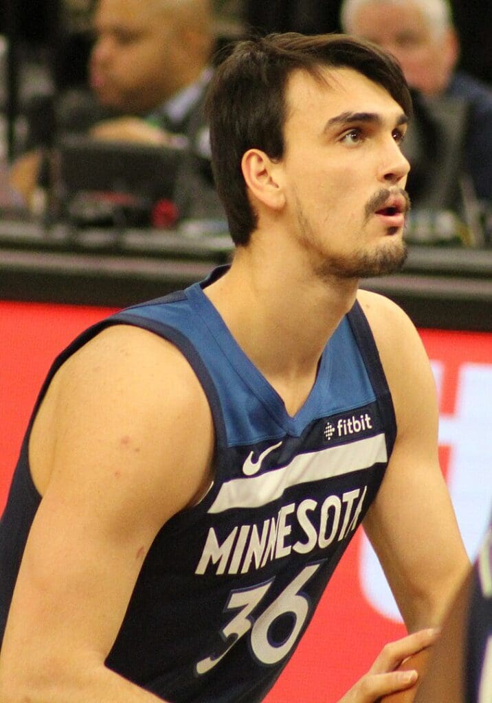 Dario Šarić of the Minnesota Timberwolves