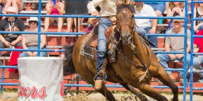 20 Famous Barrel Racers Who Redefined Speed and Grace