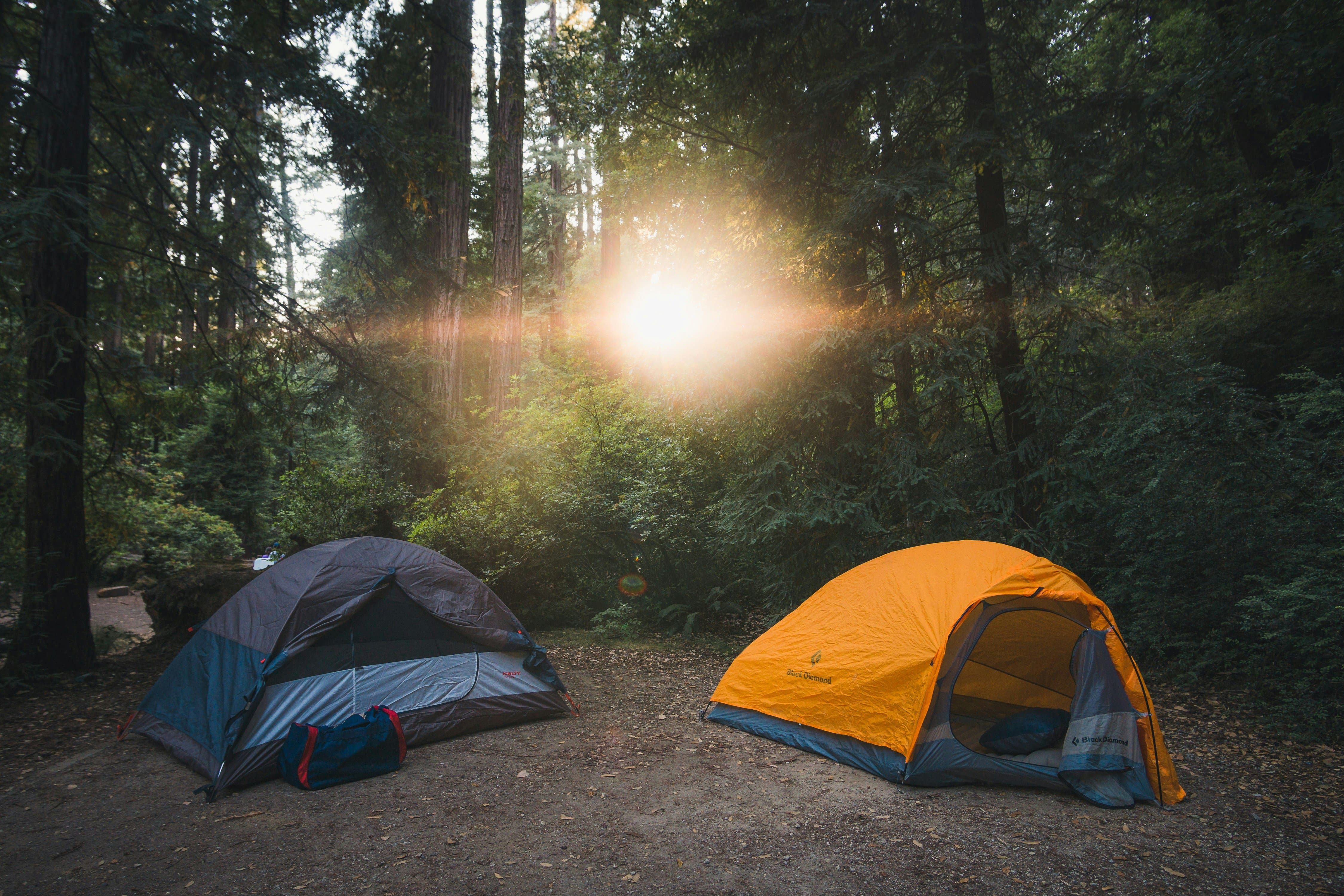 Camping outdoor. Палатка в лесу. Кемпинг. Уютная палатка в лесу. Кемпинг в лесу.