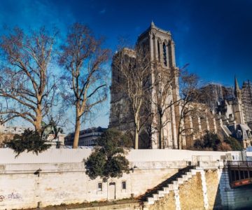 Notre Dame picture