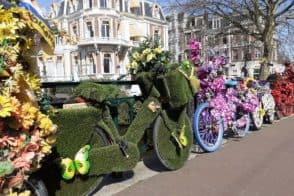 Cycles in Amsterdam