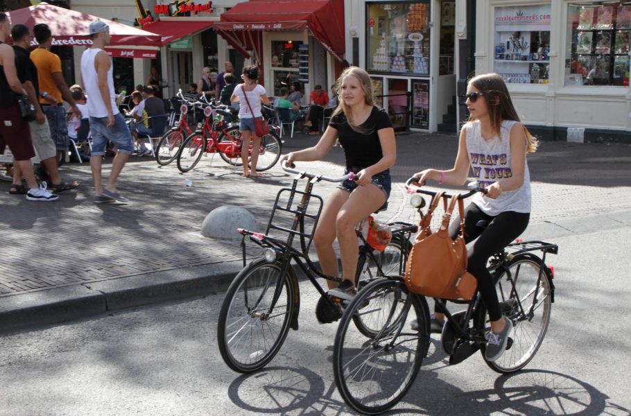 Bike Tour of Amsterdam's Highlights and Hidden Gems!