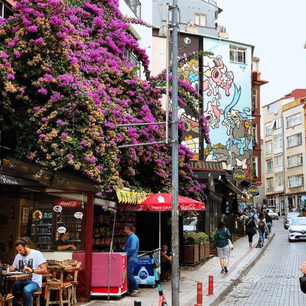 Skip The Line: ISTANBUL PRIVATE TOUR FROM CRUISE SHIP/HOTEL